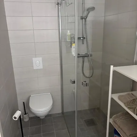 Fri Sikt Volsdalsberga *